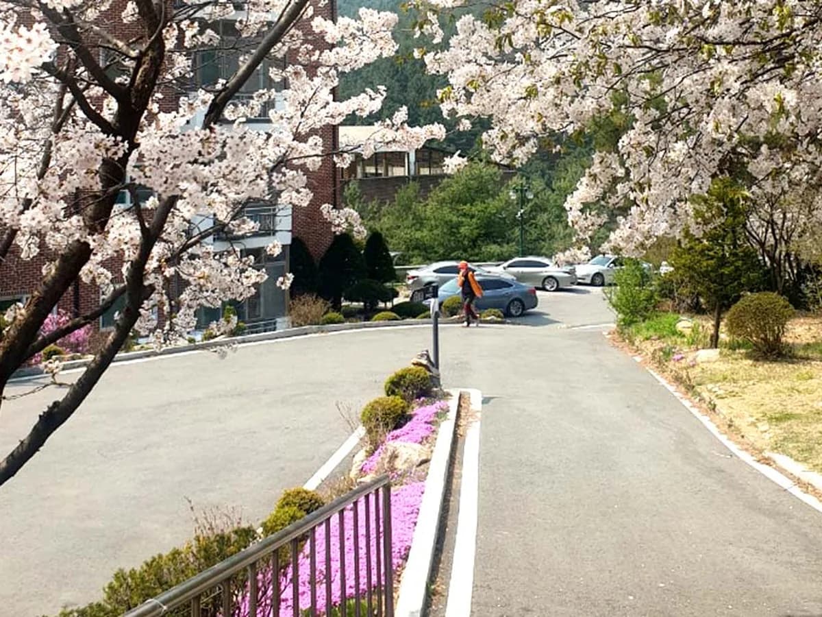 가평푸른숲요양병원 이미지 4