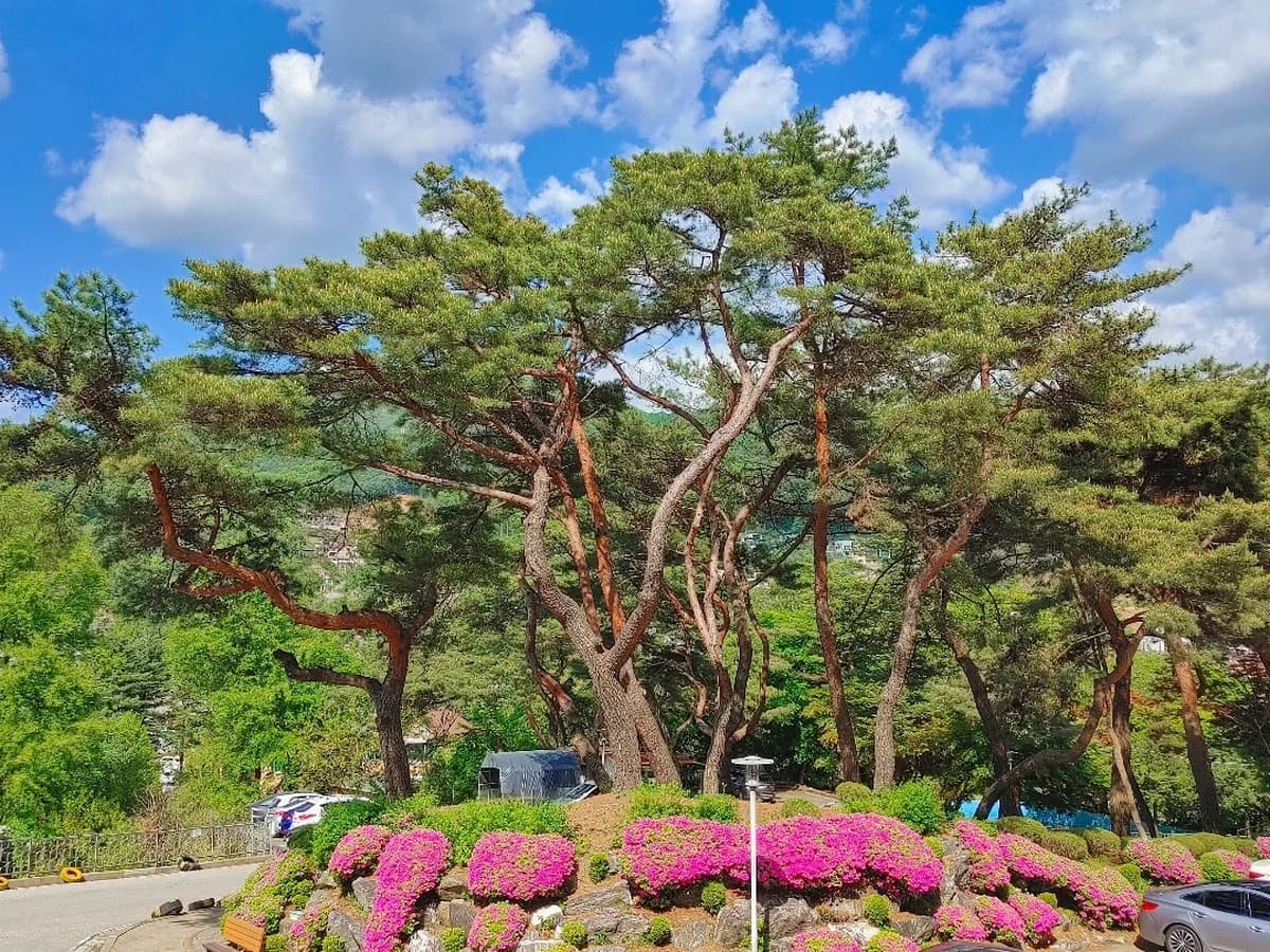 수동연세요양병원 이미지 2