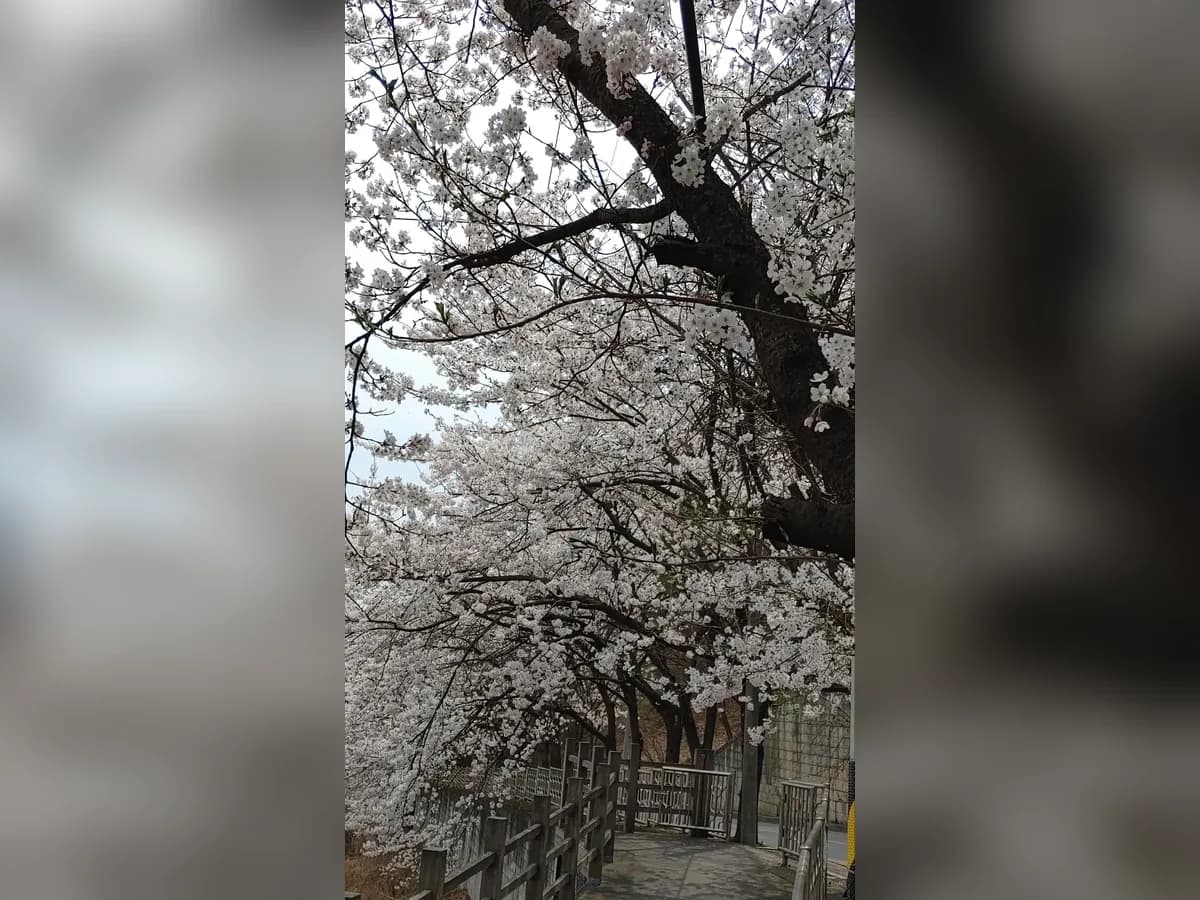 수동연세요양병원 이미지 4