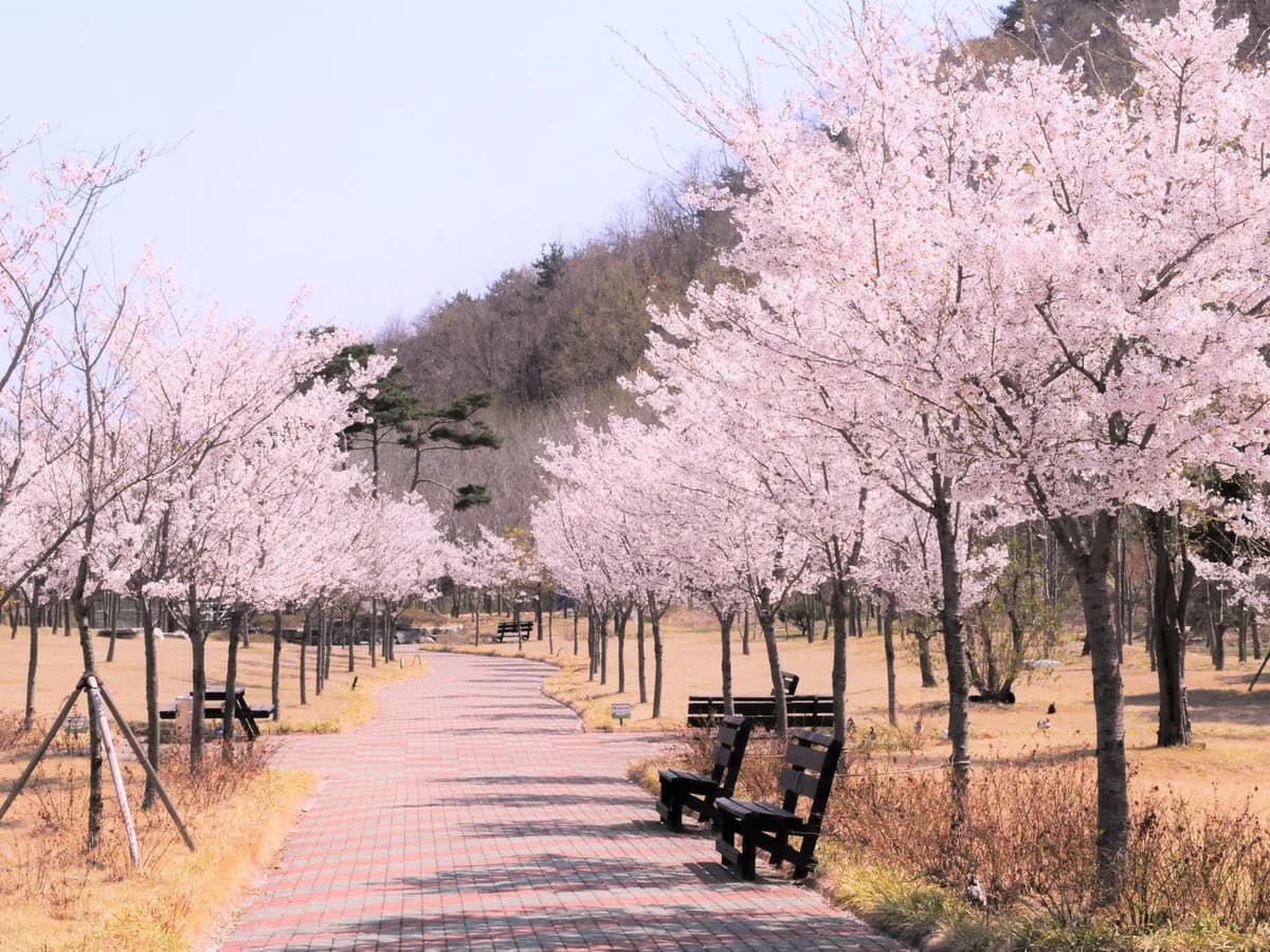 의료법인청암의료재단 포항송라요양병원 이미지 2