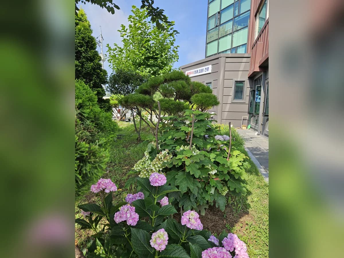 갤러리의아침요양병원 이미지 4