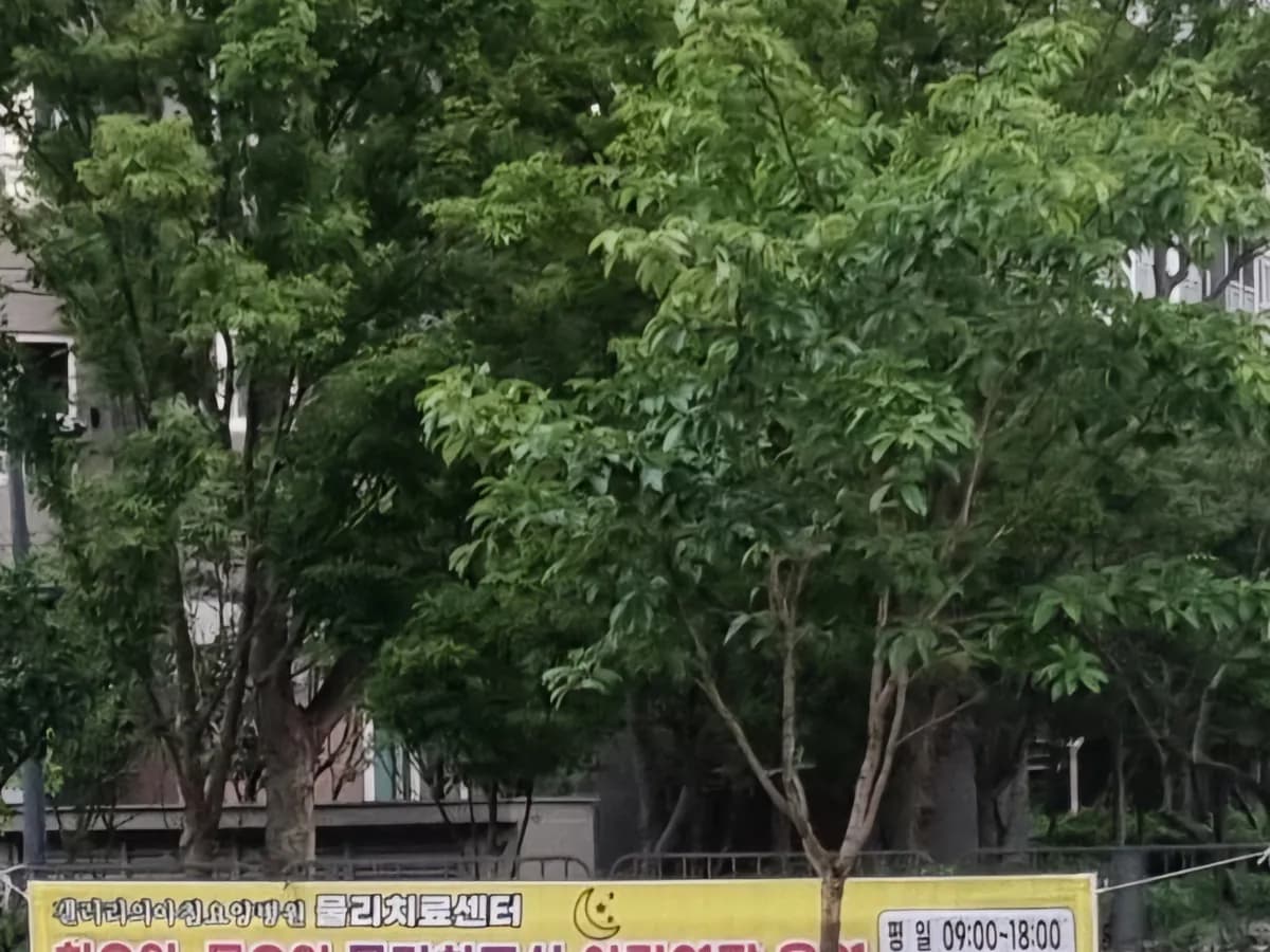 갤러리의아침요양병원 이미지 10