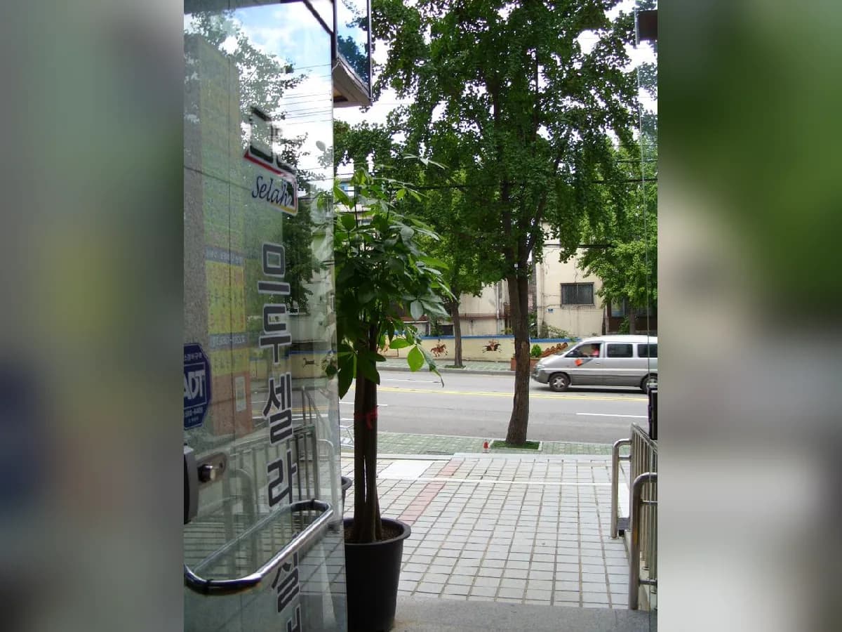 므두셀라실버타운 이미지 2