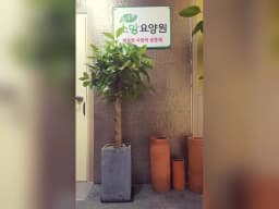늘푸른 소망요양원
