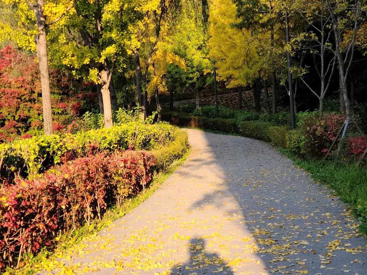 수명산요양원 이미지 3