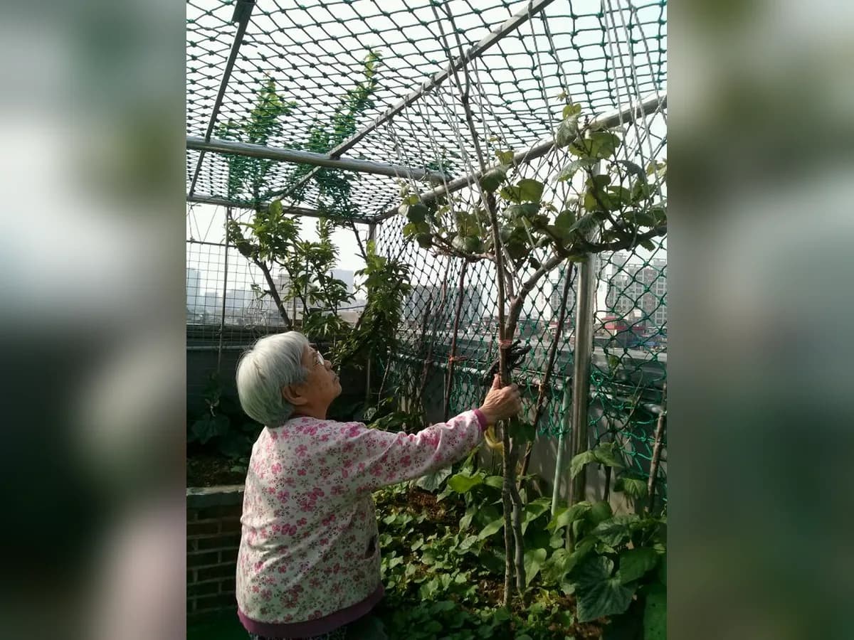 대림실버2 노인요양공동생활가정 이미지 3