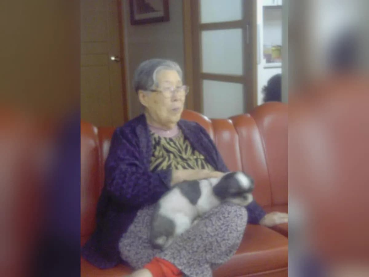 고향의 집 이미지 5