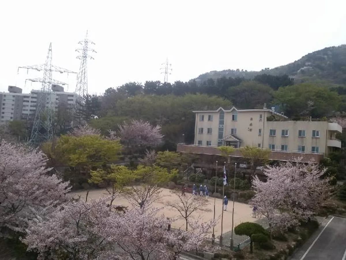 흰돌요양센터(목제관) 이미지 8