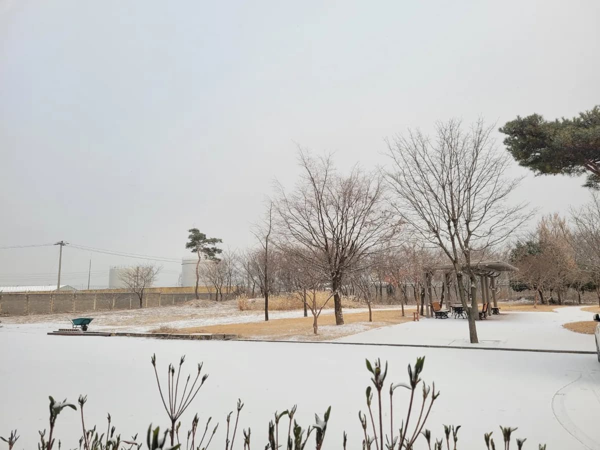 SOS프란치스카의집 이미지 7