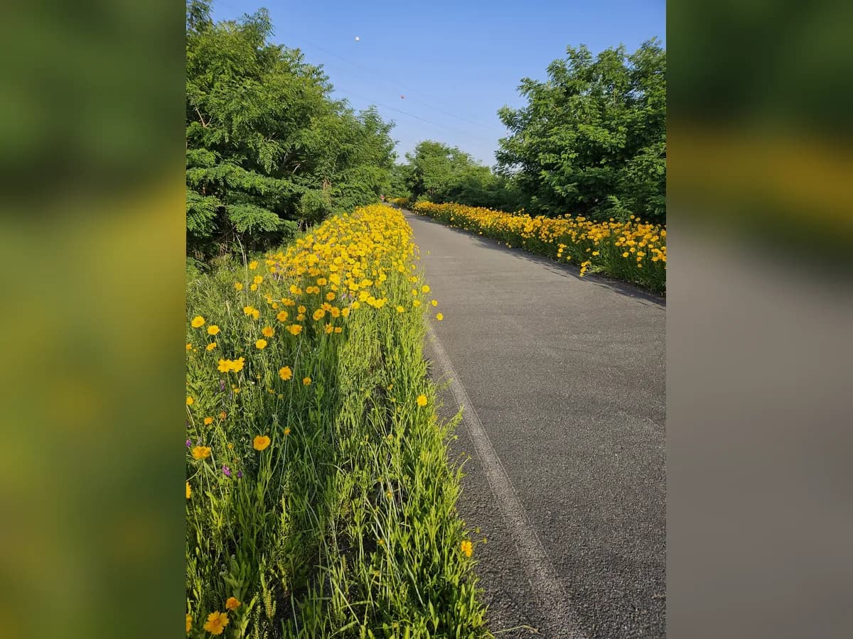금강전원실버요양원 이미지 2