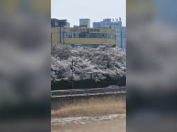 성림효사랑실버타운