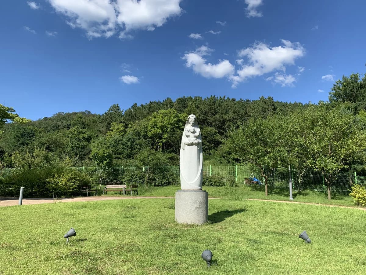 파티마홈 이미지 1