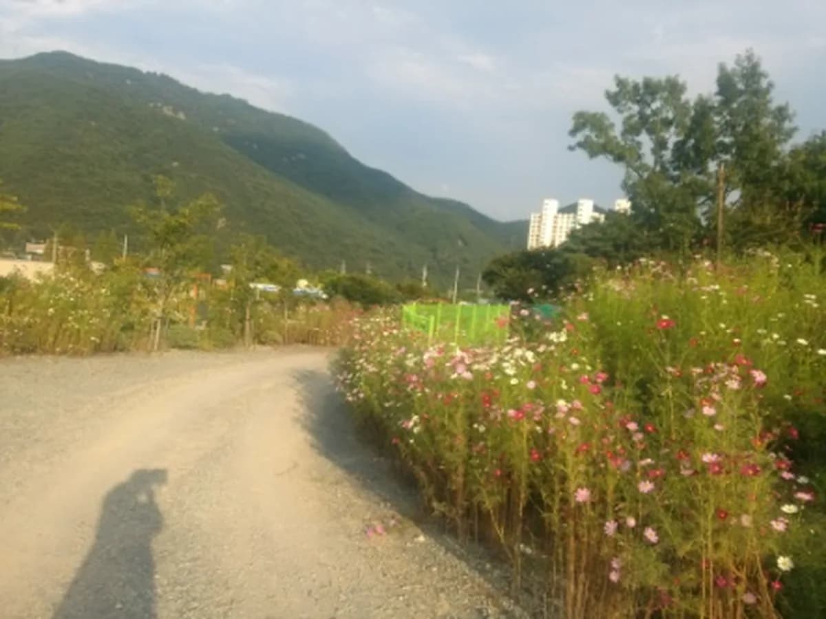 다사랑재활실버타운 이미지 6