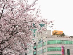 모심과돌봄노인요양시설