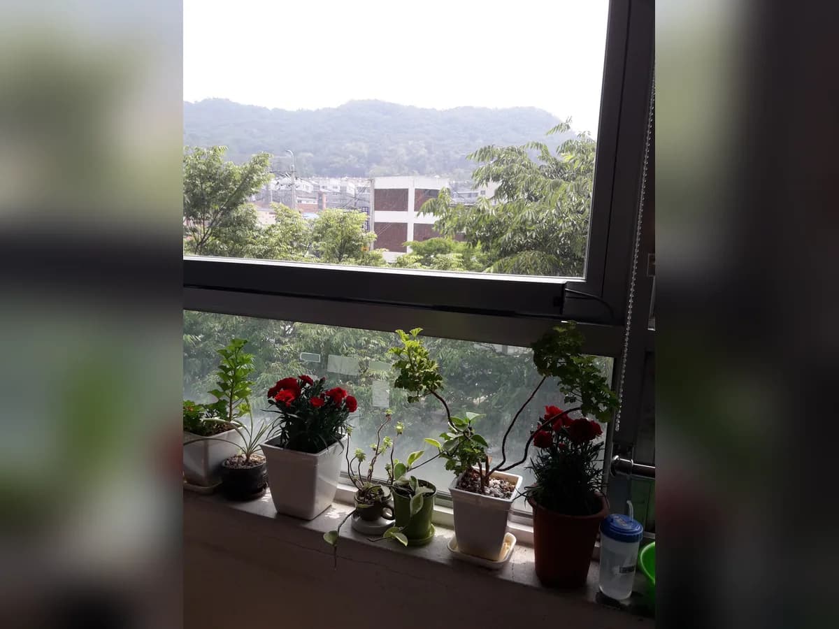 송도사랑요양원 이미지 2