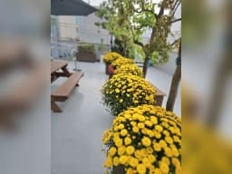 효은요양원