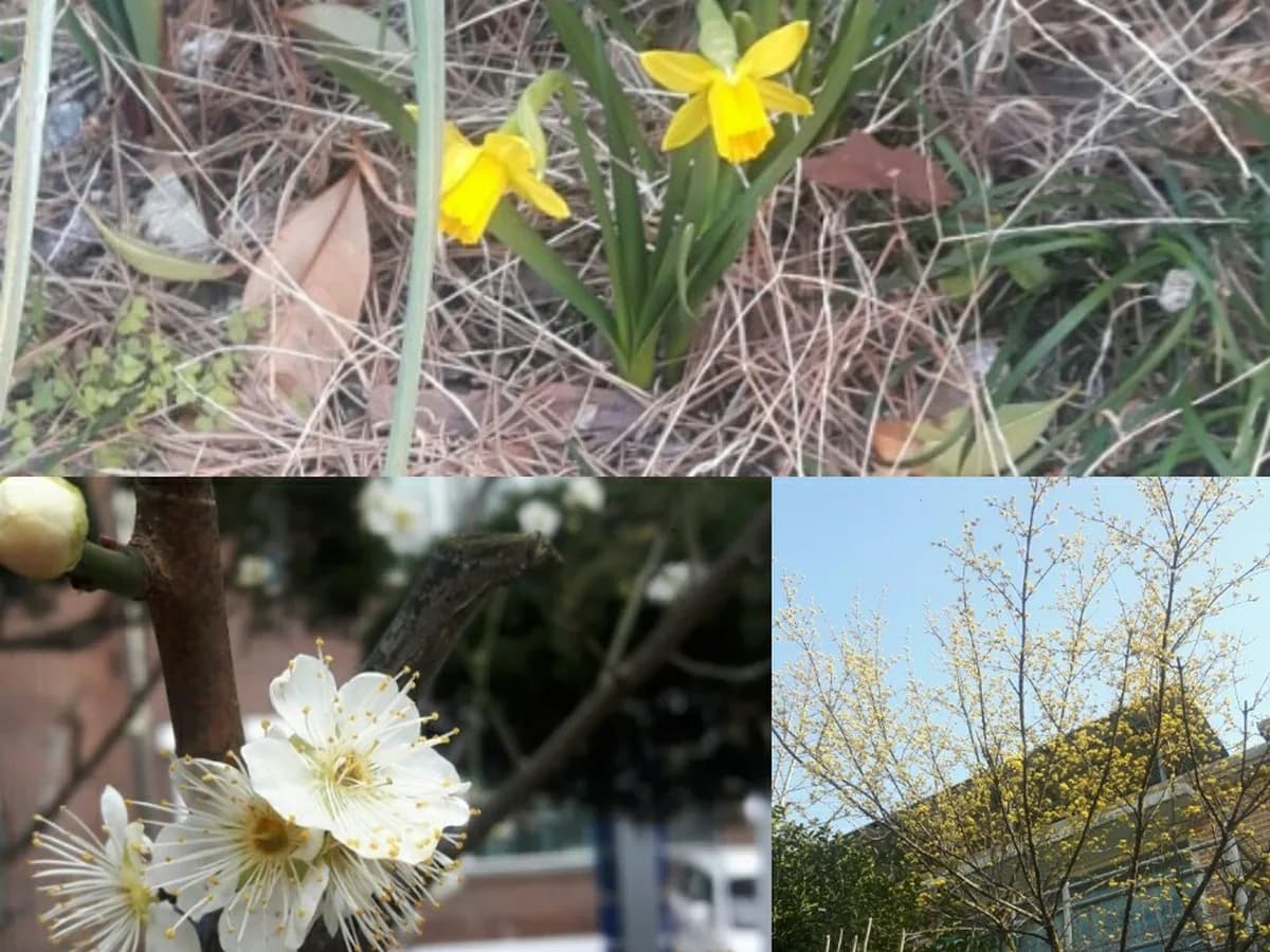아가페실버센터 이미지 1