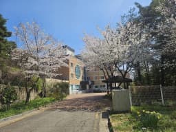 전남성노원