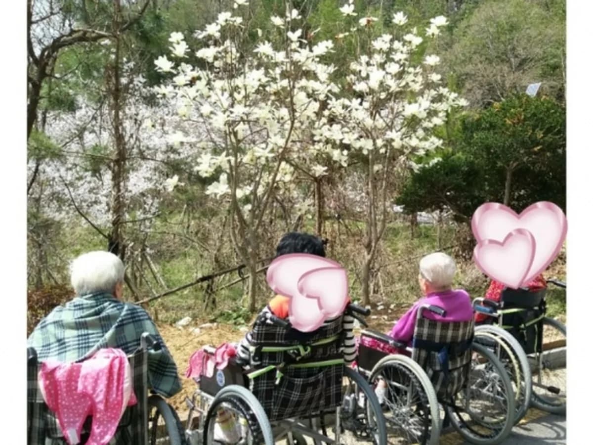 전남성노원 이미지 2