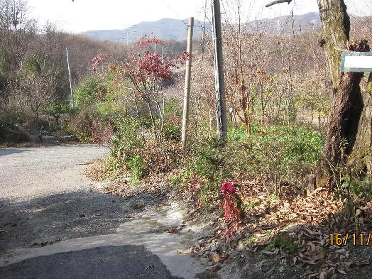 편안세상 이미지 5