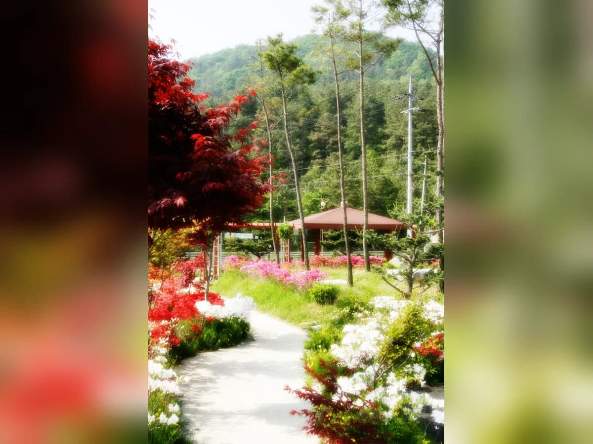 선우치매센타 이미지 7