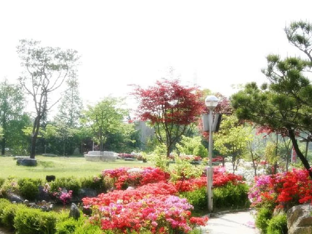 선우치매센타 이미지 8