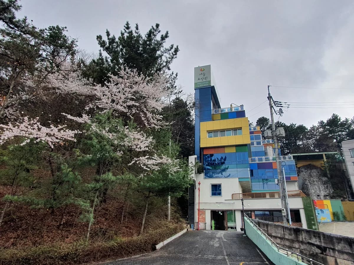 새들요양원 이미지 2