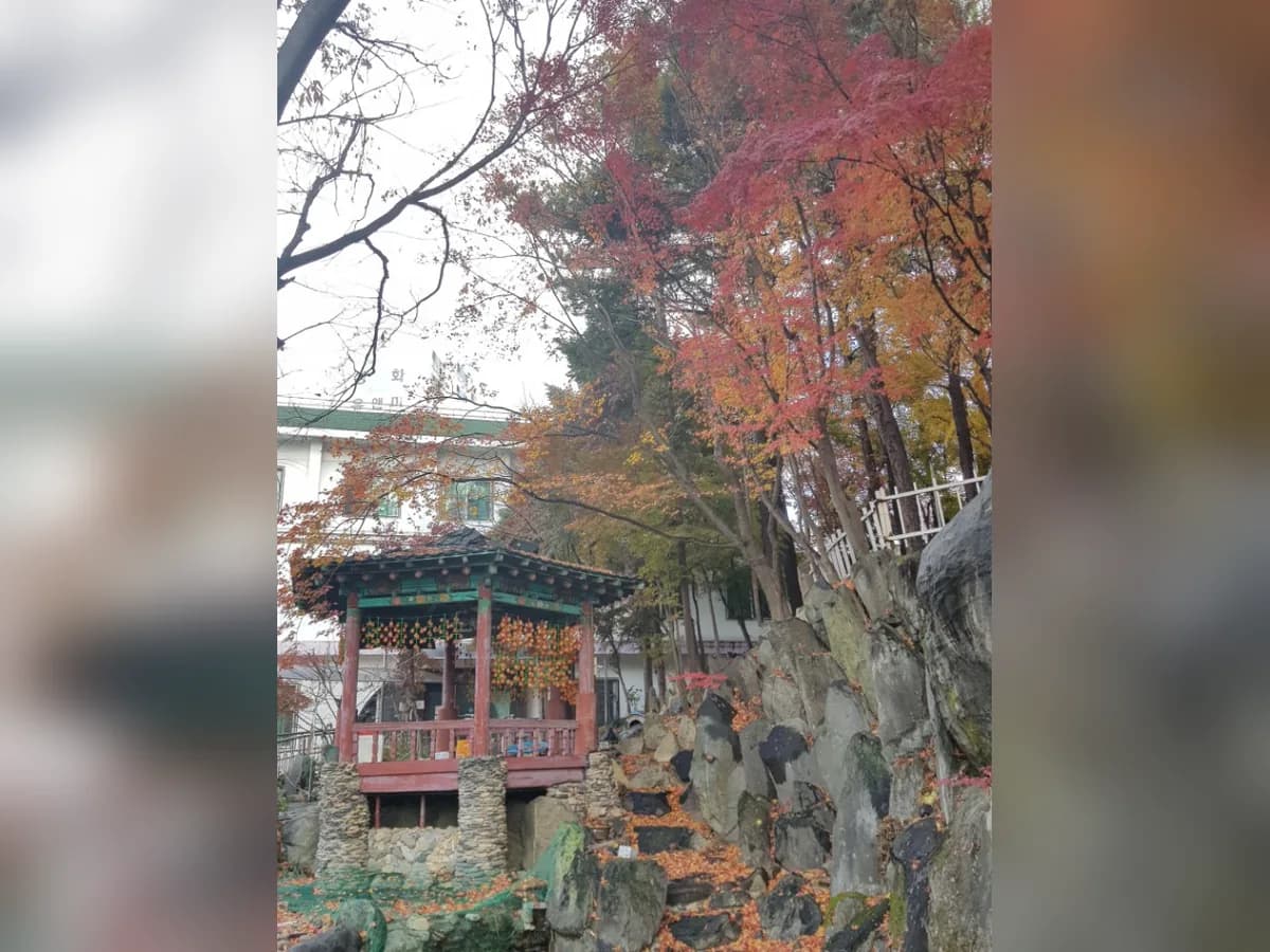 예사랑실버케어 이미지 5
