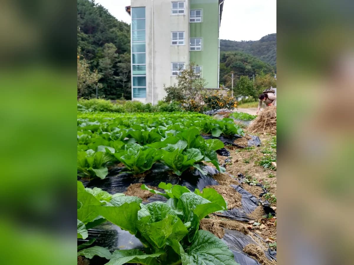 백양실버홈 전원생활어르신의집 이미지 2