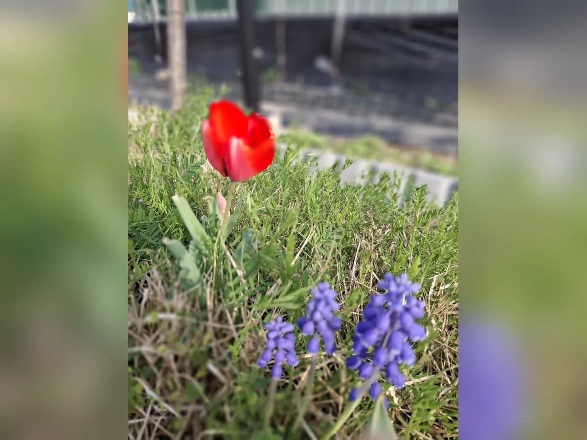 약산실버홈 이미지 1