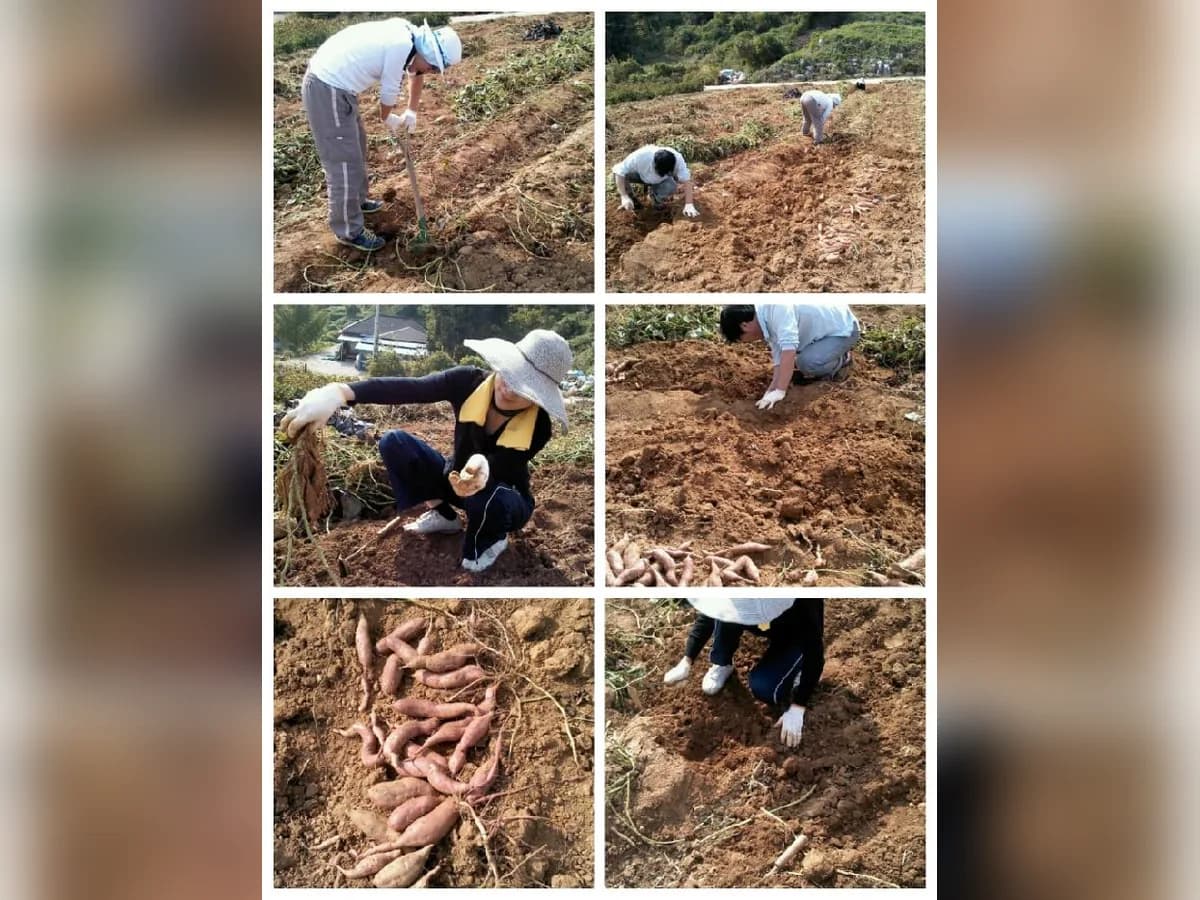수원어르신간호센터 이미지 4