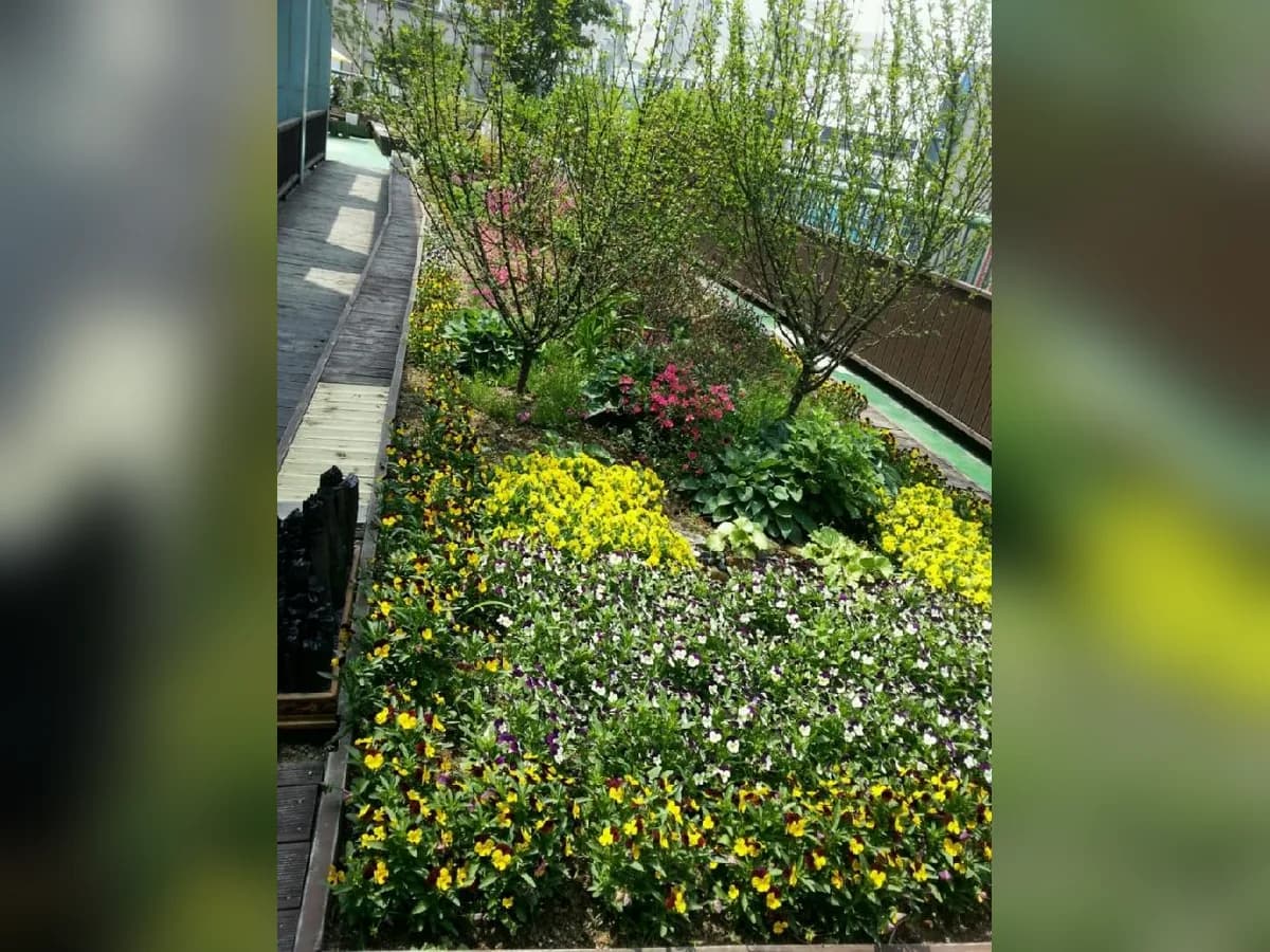 메디케어 이미지 5