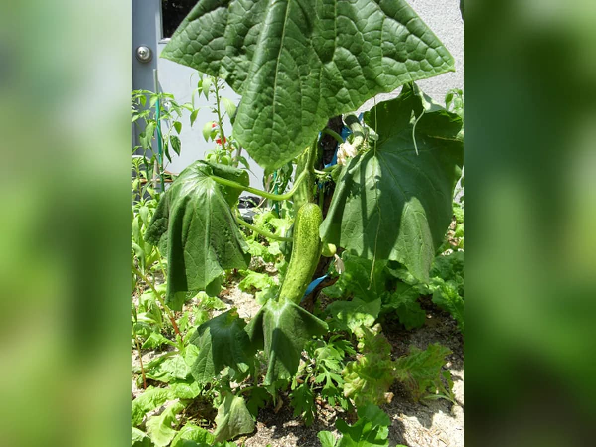 보금자리요양원 이미지 7
