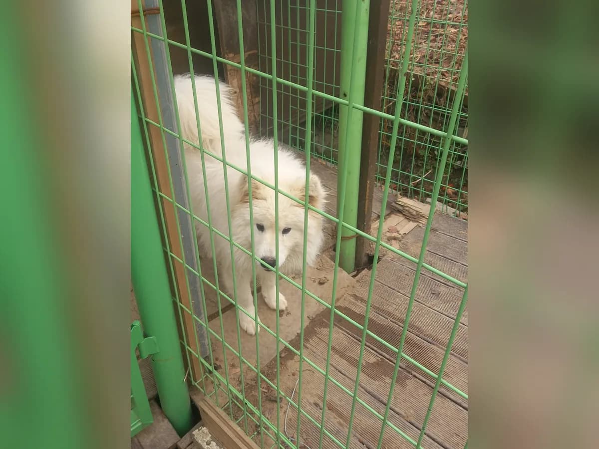 의정부행복한요양원 이미지 6