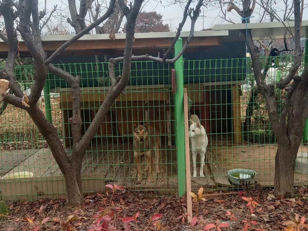 의정부행복한요양원 이미지 7