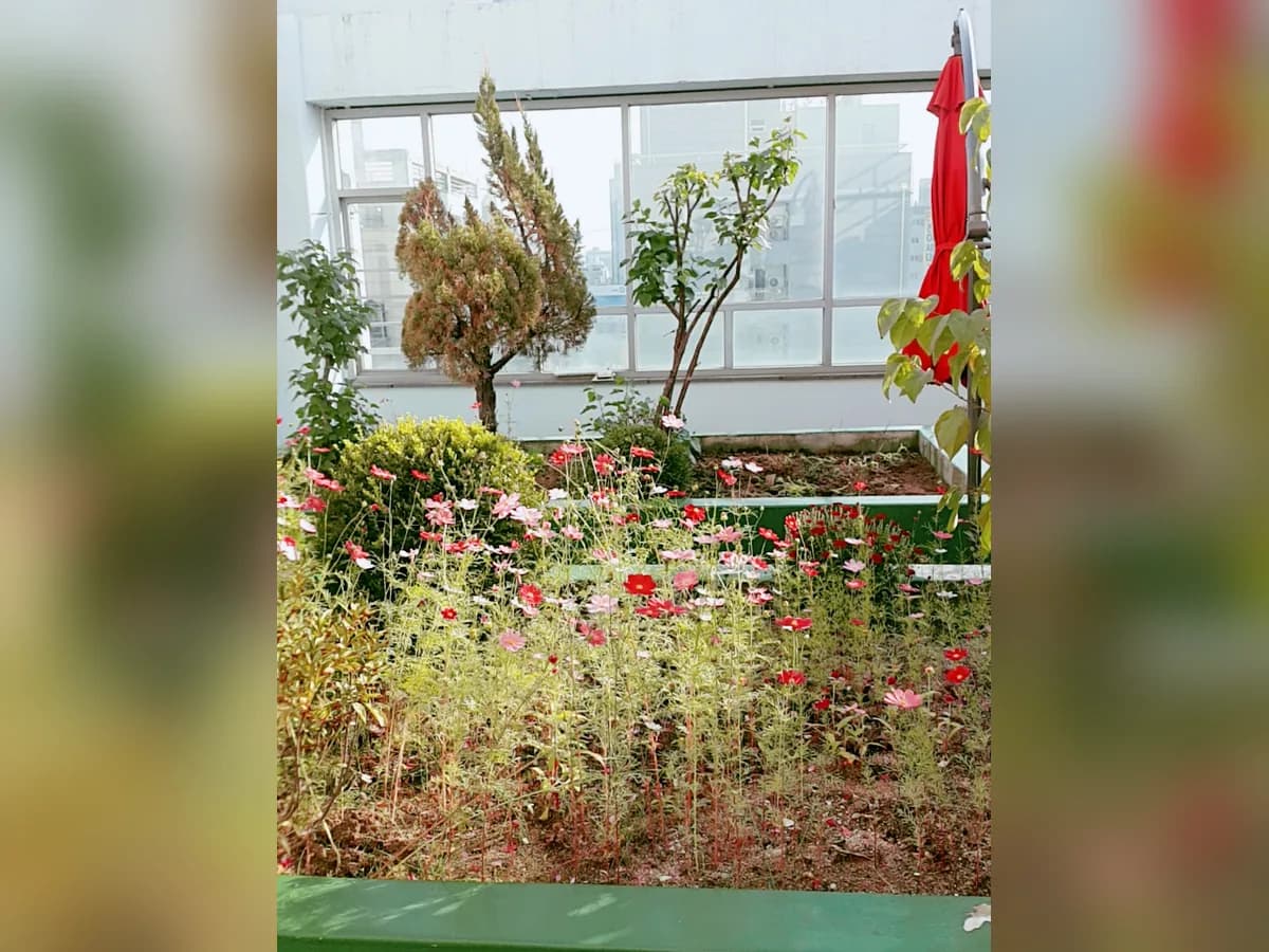 사랑자리요양원(본점) 이미지 3