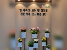 관음손 요양원
