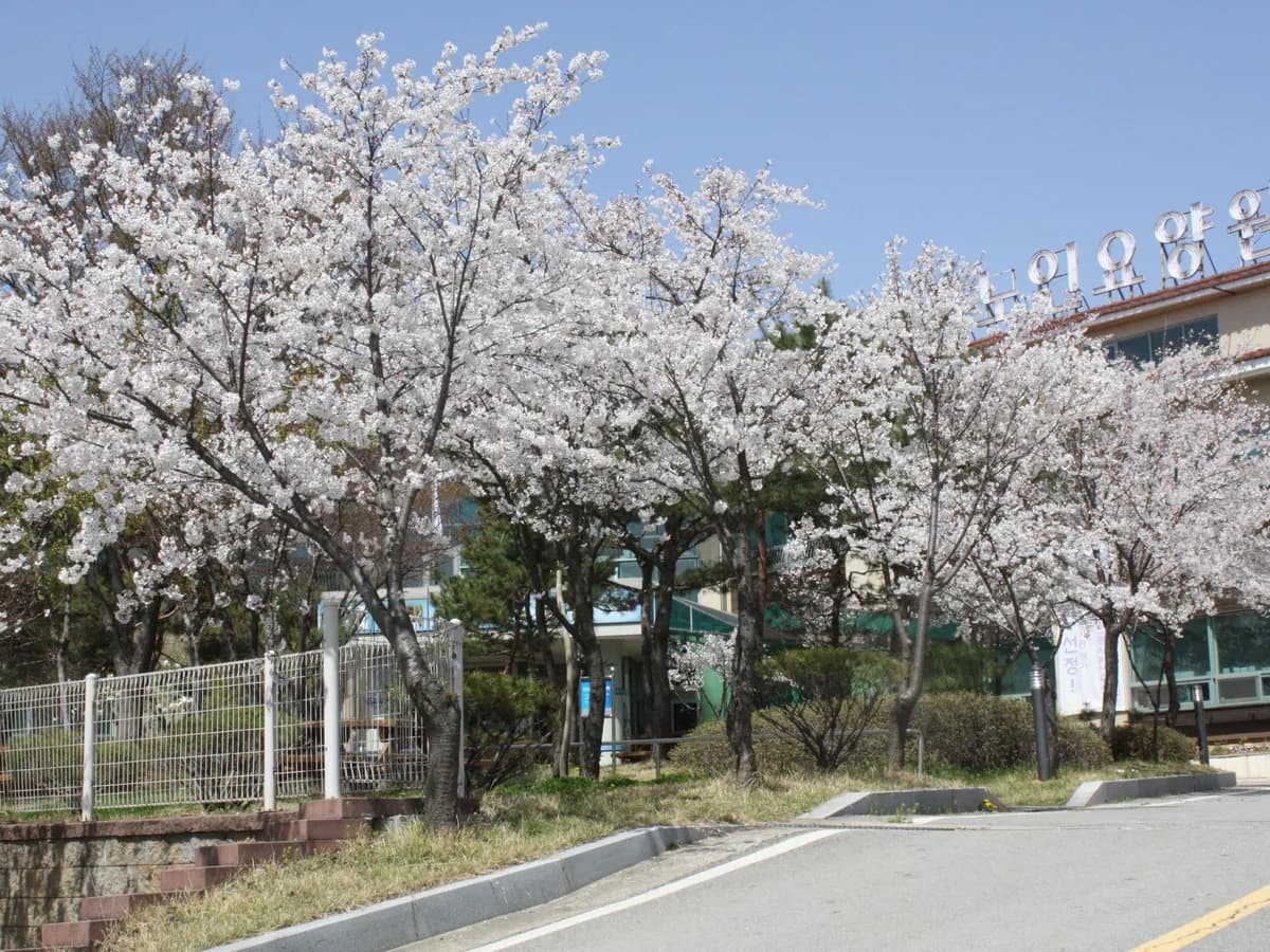 평택시노인전문요양원 이미지 2