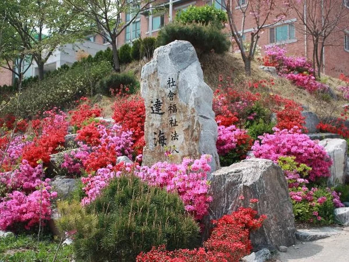 늘푸른요양원 이미지 8