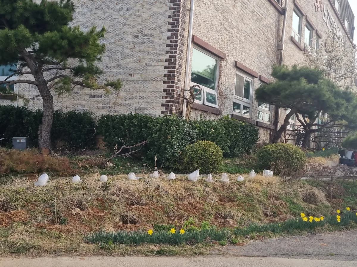 굿모닝노인전문요양원 이미지 1