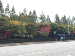 참사랑요양원