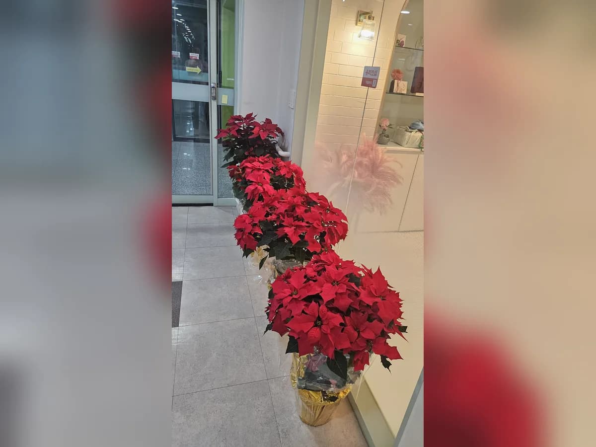 효담원 노인전문요양센터 이미지 4