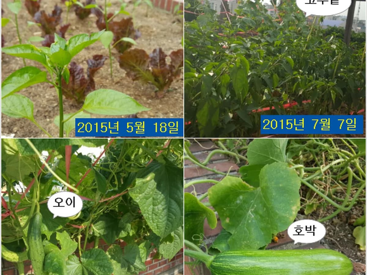행복한요양원 이미지 4