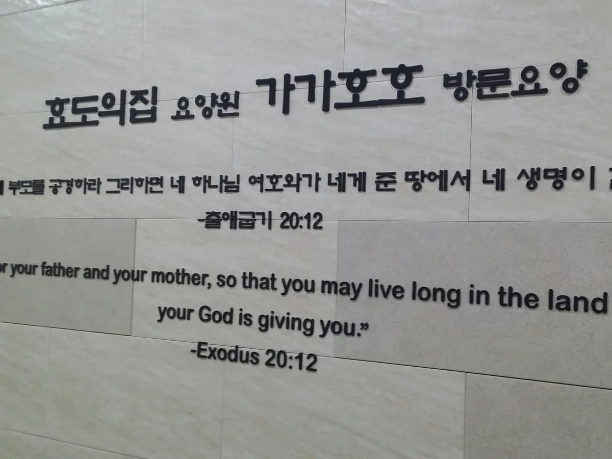 효도의집 이미지 8