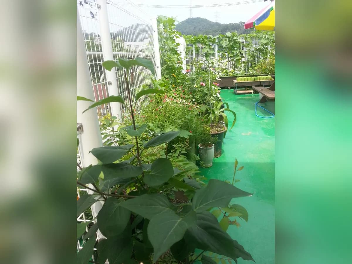 화정요양원 이미지 1