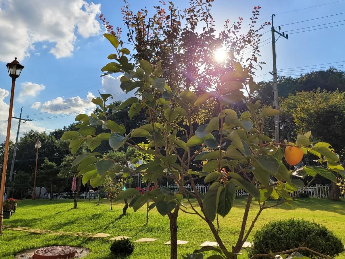 연세사랑요양원 이미지 4