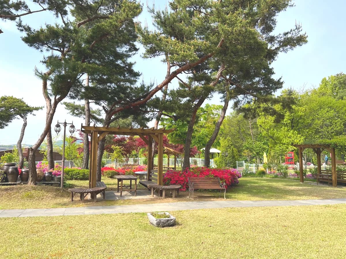 드림힐링케어 이미지 4