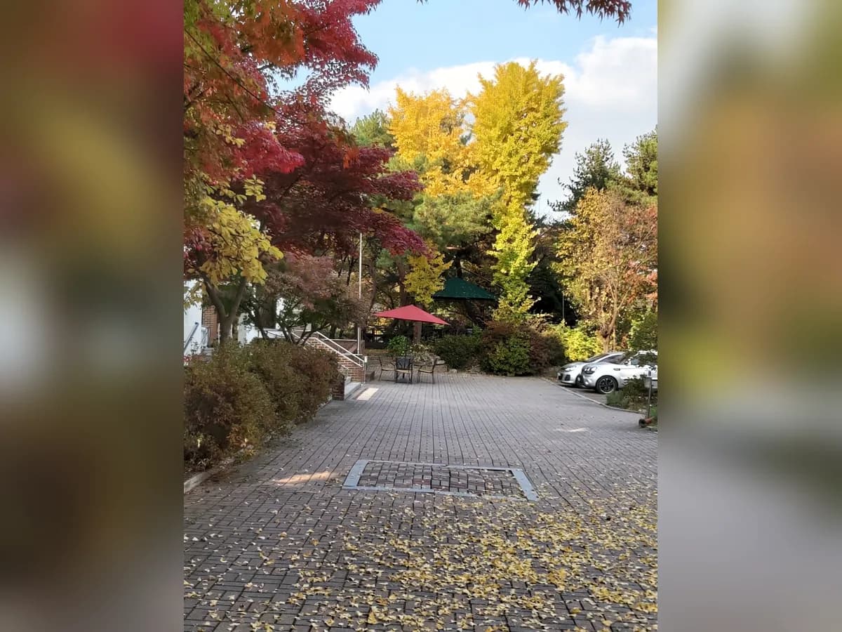 구세군승리요양원 이미지 2
