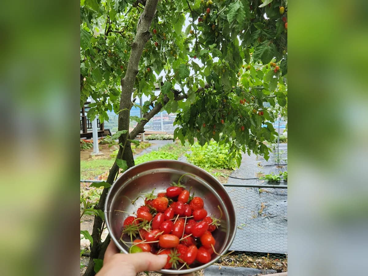수산나의집 요양원 이미지 2