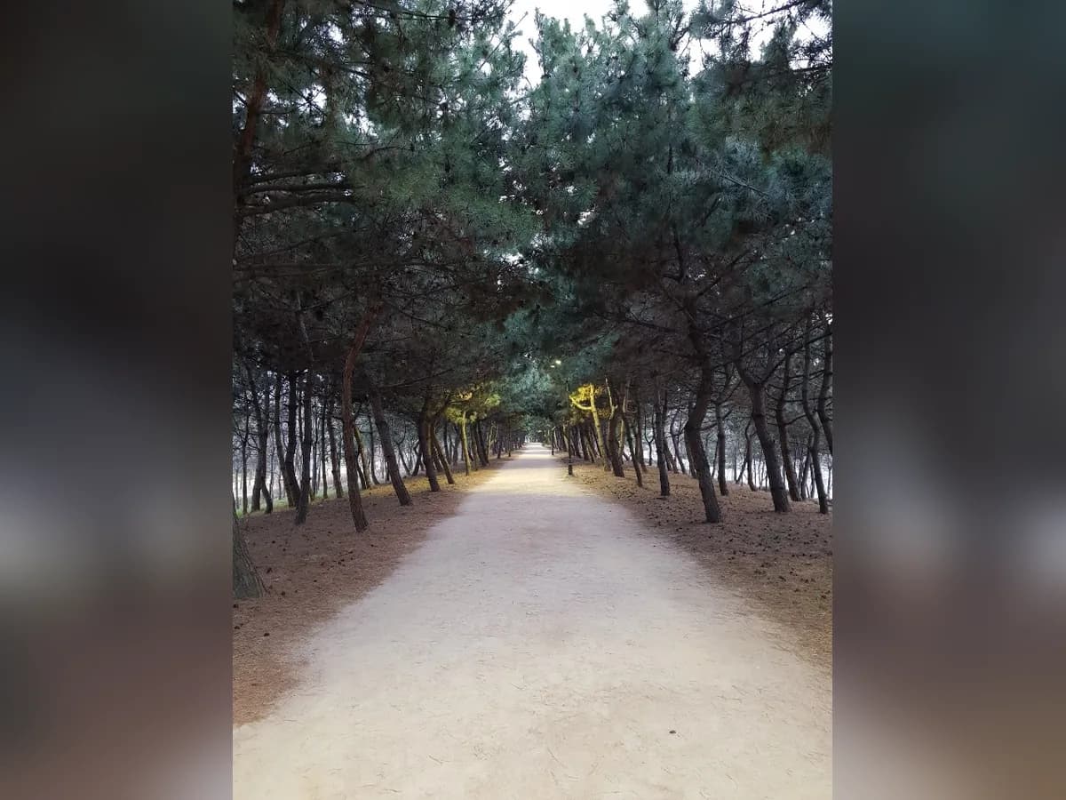 한양노인전문요양원 이미지 3